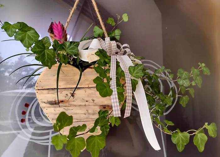 La Casa Di Elsa Polcenigo