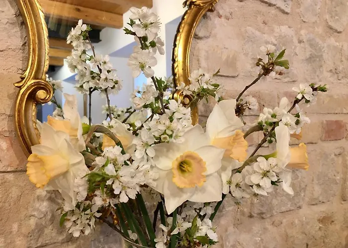 La Casa Di Elsa Polcenigo